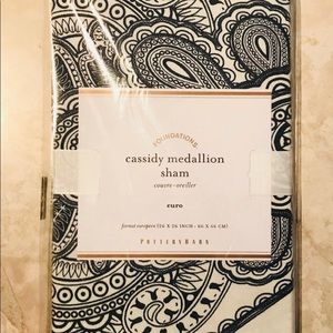 Pottery barn pillow-set of 2